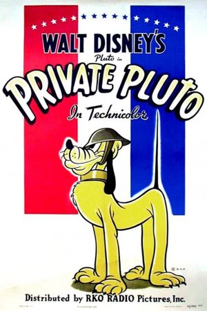 Private Pluto's poster
