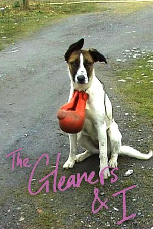 The Gleaners & I's poster