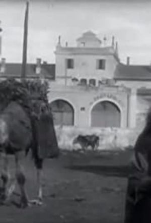 Marché aux charbons (avec chameaux)'s poster image