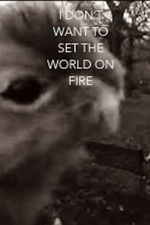 I Don't Want To Set The World On Fire's poster