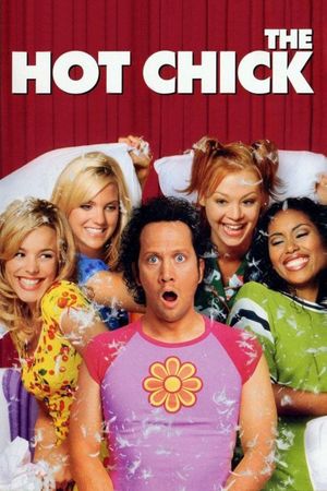 The Hot Chick's poster