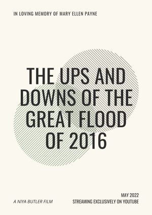 The Ups and Downs of the Great Flood of 2016's poster