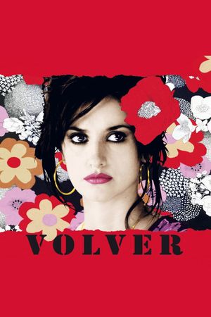 Volver's poster