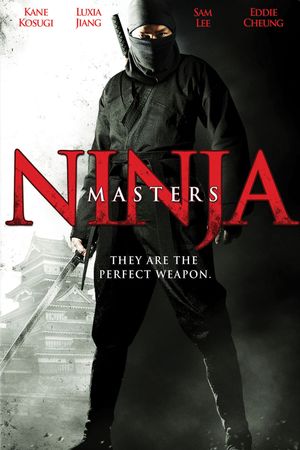 Ninja Masters's poster