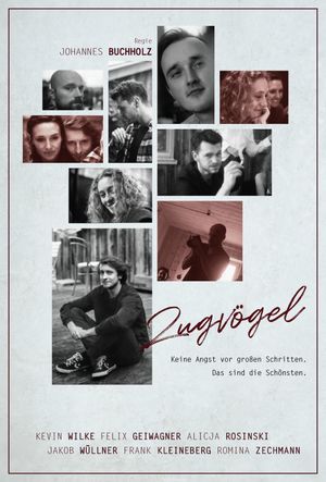 Zugvögel's poster