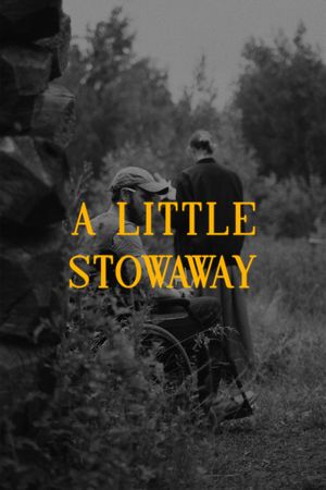 A Little Stowaway's poster