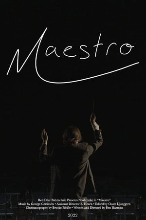 Maestro's poster