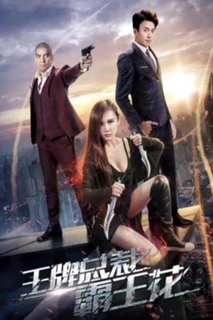 President and Kung Fu Girl's poster image