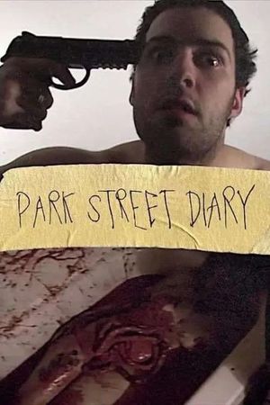 Park Street Diary's poster