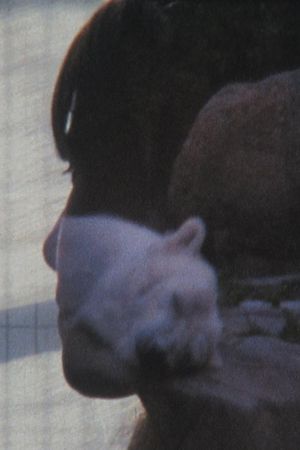 Denkbilder's poster