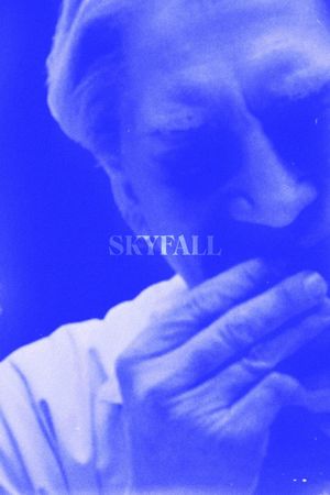 Skyfall's poster