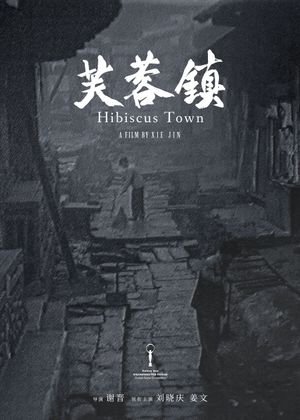 Hibiscus Town's poster