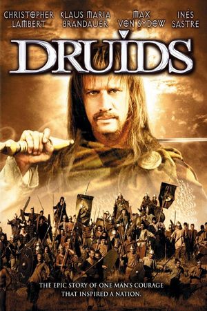 Druids's poster