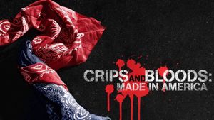 Crips and Bloods: Made in America's poster