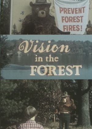 Vision In The Forest's poster
