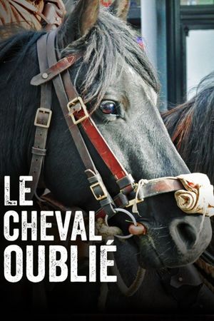 Le cheval oublié's poster