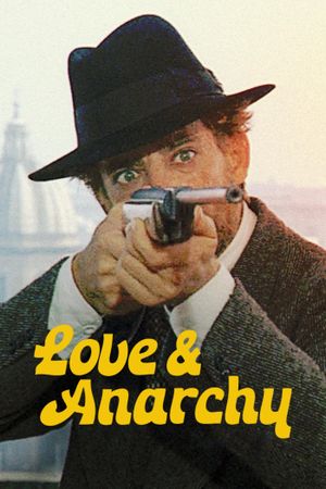 Love & Anarchy's poster