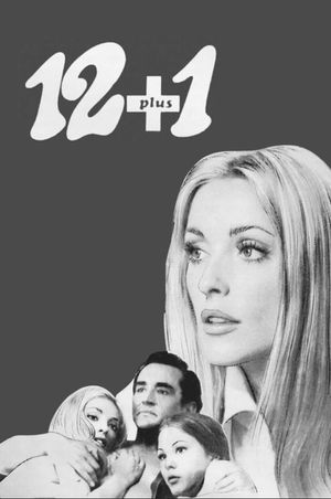 12 + 1's poster