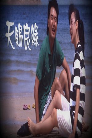 天賜良緣's poster
