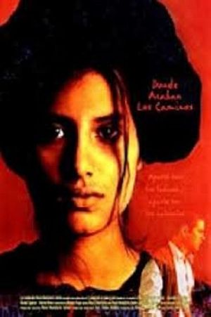 Donde acaban los caminos's poster