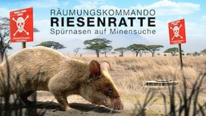 Räumkommando Riesenratte - Spürnasen auf Minensuche's poster