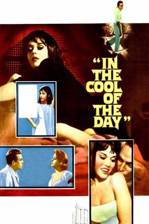 In the Cool of the Day's poster image