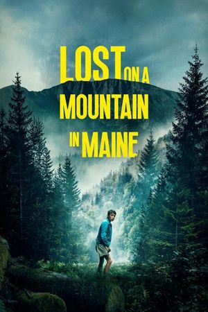 Lost on a Mountain in Maine's poster