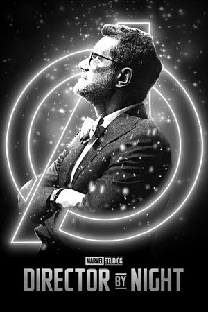 Director by Night's poster