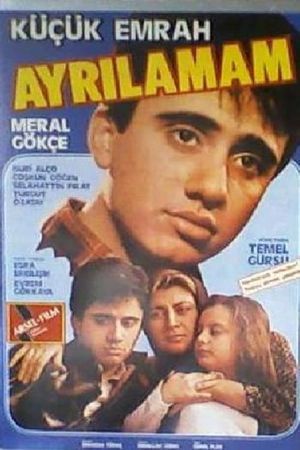 Ayrilamam's poster