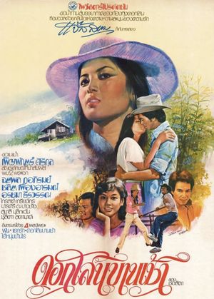 Blooming Sesbania's poster image