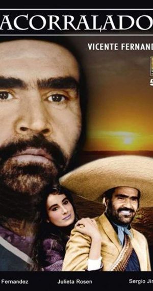 Acorralado's poster
