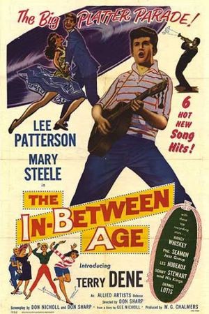 The Inbetween Age's poster