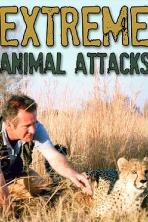 Extreme Animal Attacks's poster