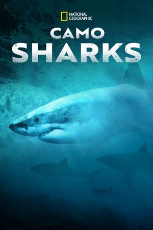 Camo Sharks's poster image