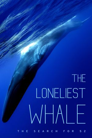 The Loneliest Whale: The Search for 52's poster