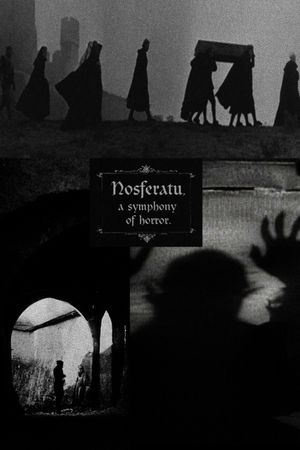 Nosferatu: A Symphony of Horror's poster