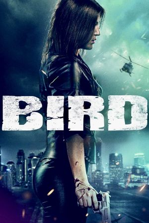 Bird's poster