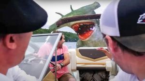 Cocaine Shark's poster