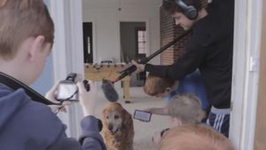 Pestering Paparazzi's poster