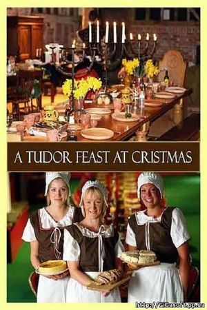 A Tudor Feast at Christmas's poster image