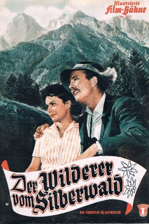 Der Wilderer vom Silberwald's poster