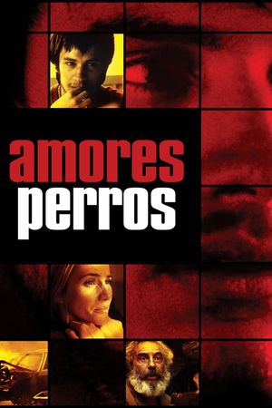 Amores Perros's poster
