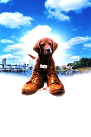 Fluke's poster