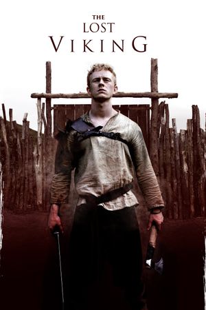The Lost Viking's poster