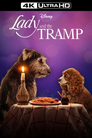 Lady and the Tramp's poster