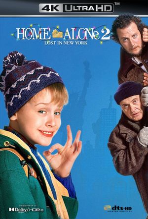 Home Alone 2: Lost in New York's poster