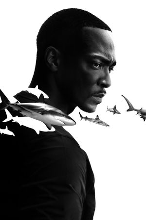Shark Beach with Anthony Mackie's poster