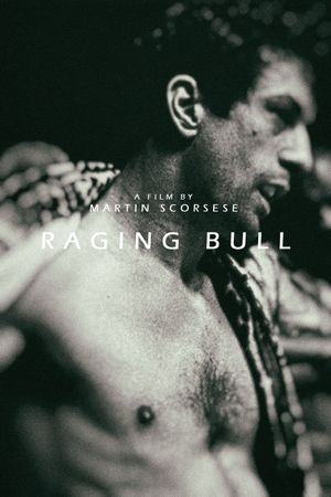 Raging Bull's poster