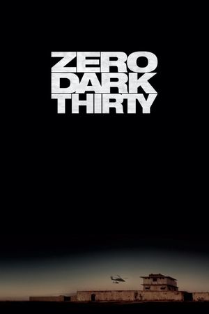 Zero Dark Thirty's poster