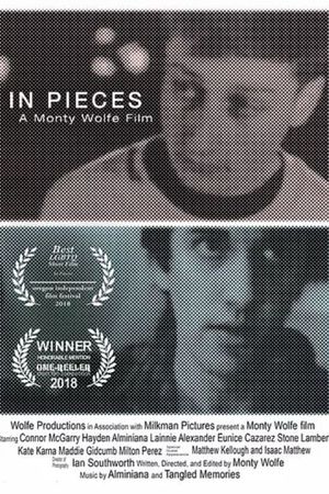 In Pieces's poster image